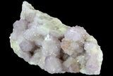 Cactus Quartz (Amethyst) Cluster - South Africa #80016-3